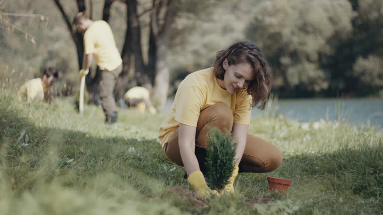 Best Lawn Maintenance Plans  in Grangeville, ID
